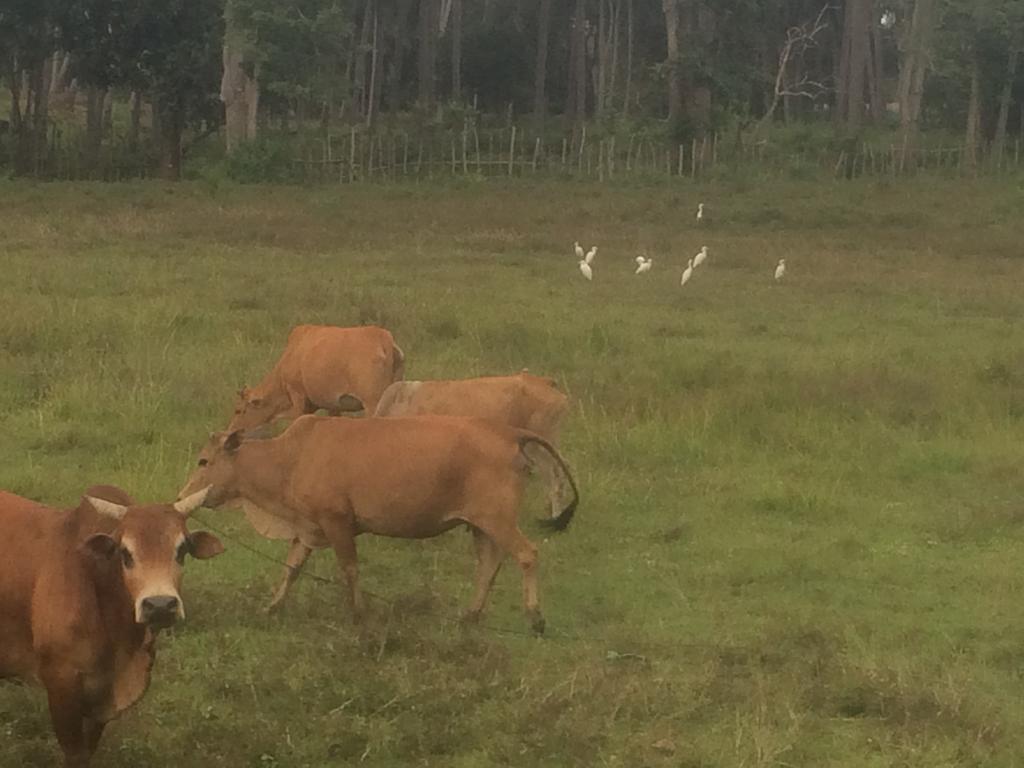 Baanmaiphai Koh Lanta