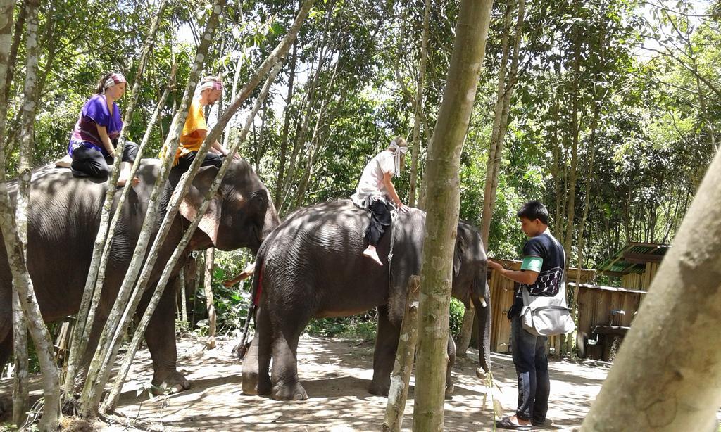 Forest Samoeng