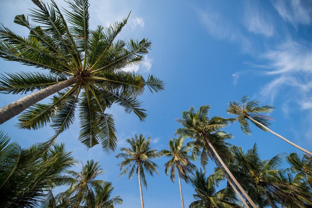 Seavana 4* Koh Mak