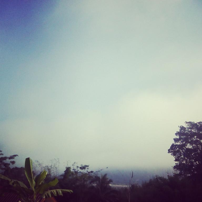 Resort Forest Samoeng