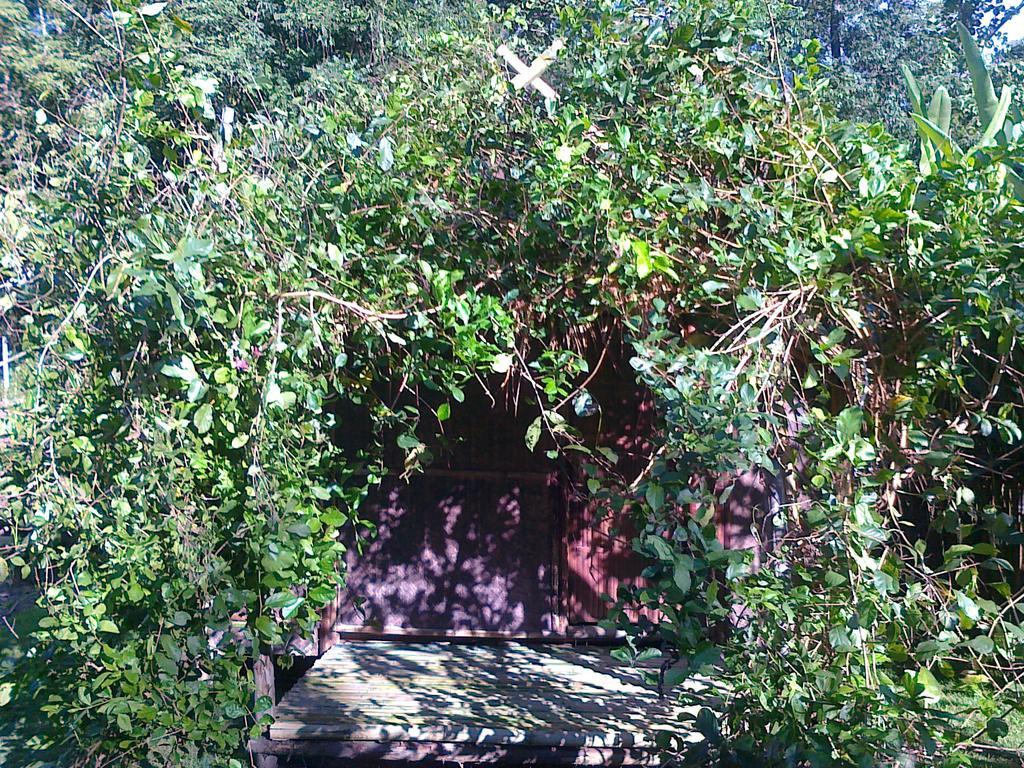 Bamboo Hut Pai