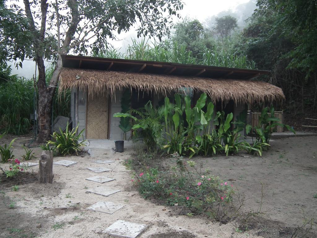 Resort Bamboo Hut