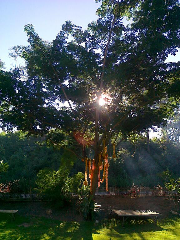 Bamboo Hut Resort