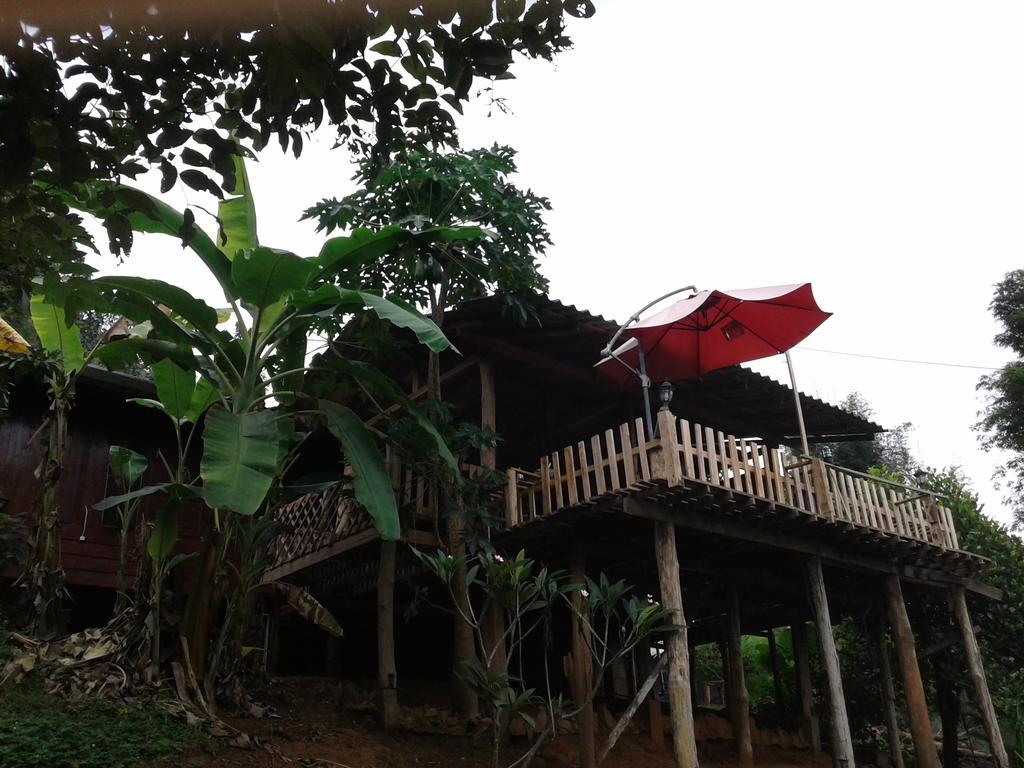 Resort Forest