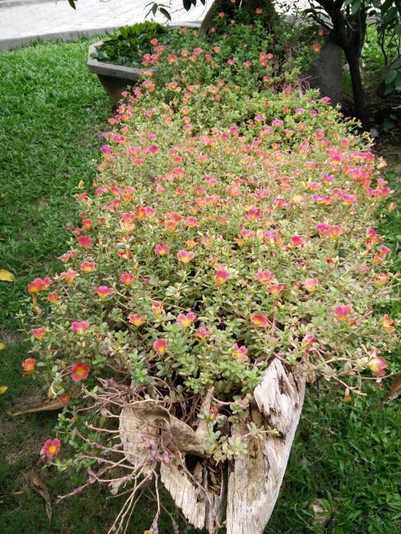 Lilawalai Resort Nong Nam Daeng