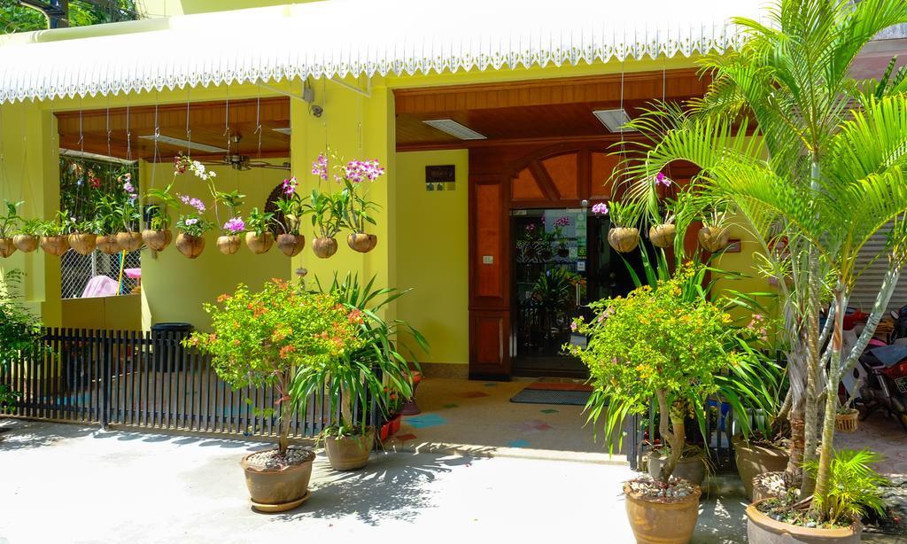 Guest house Adonis 2*