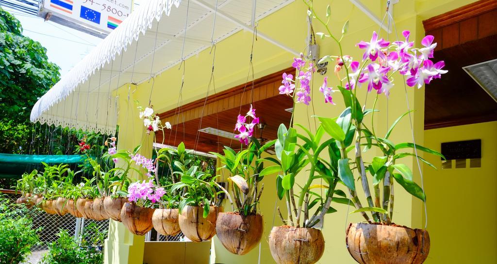 Guest house Adonis Patong