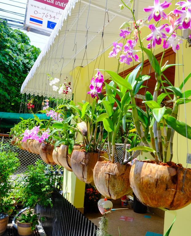 Adonis Guest house Patong