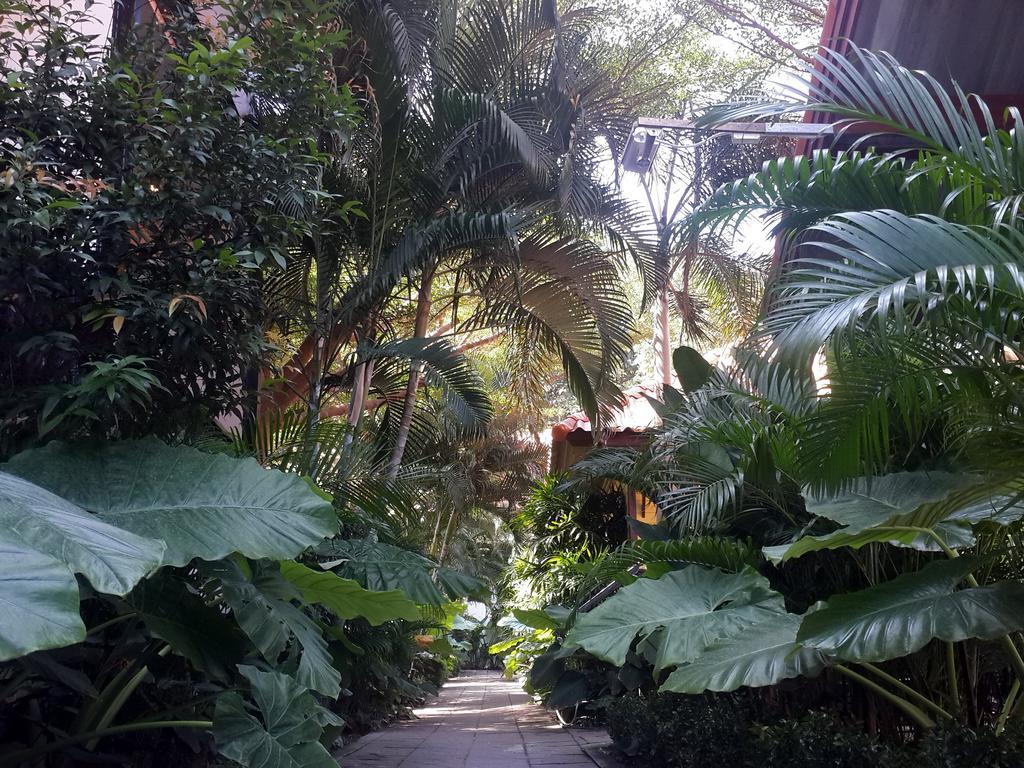 Ricci House Resort Koh Lipe