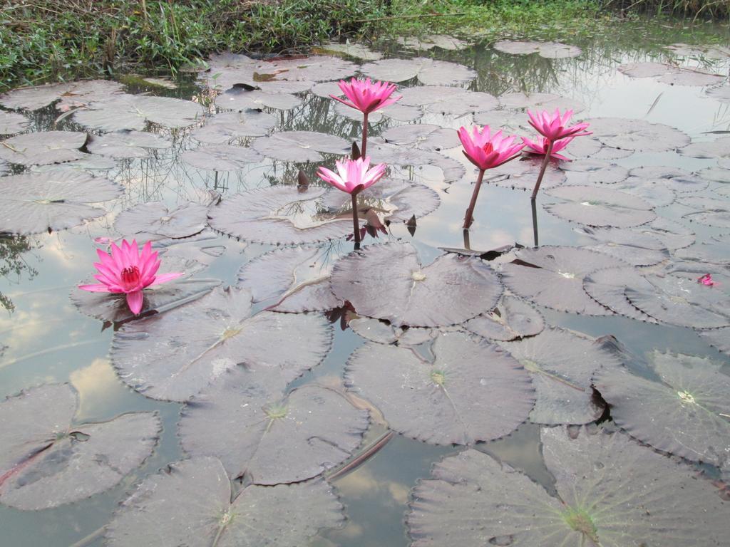 Sukhothai City Resort 2* Sukhothai