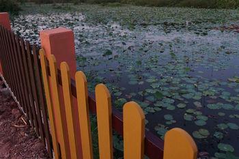 Park & Pool Nong Khai