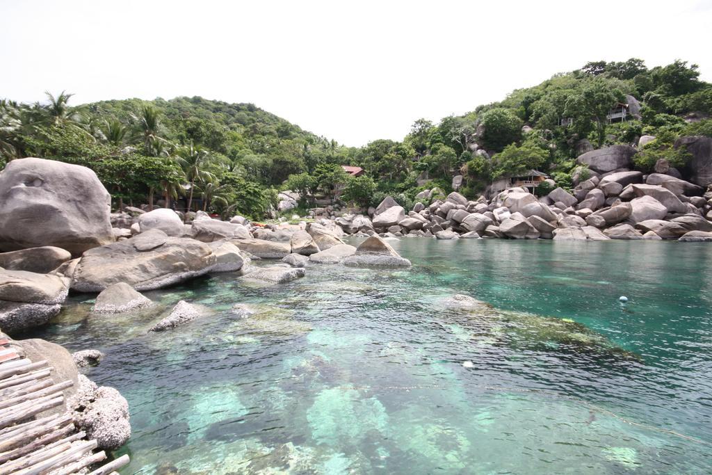 Sabai Jai - Eagle * Koh Tao