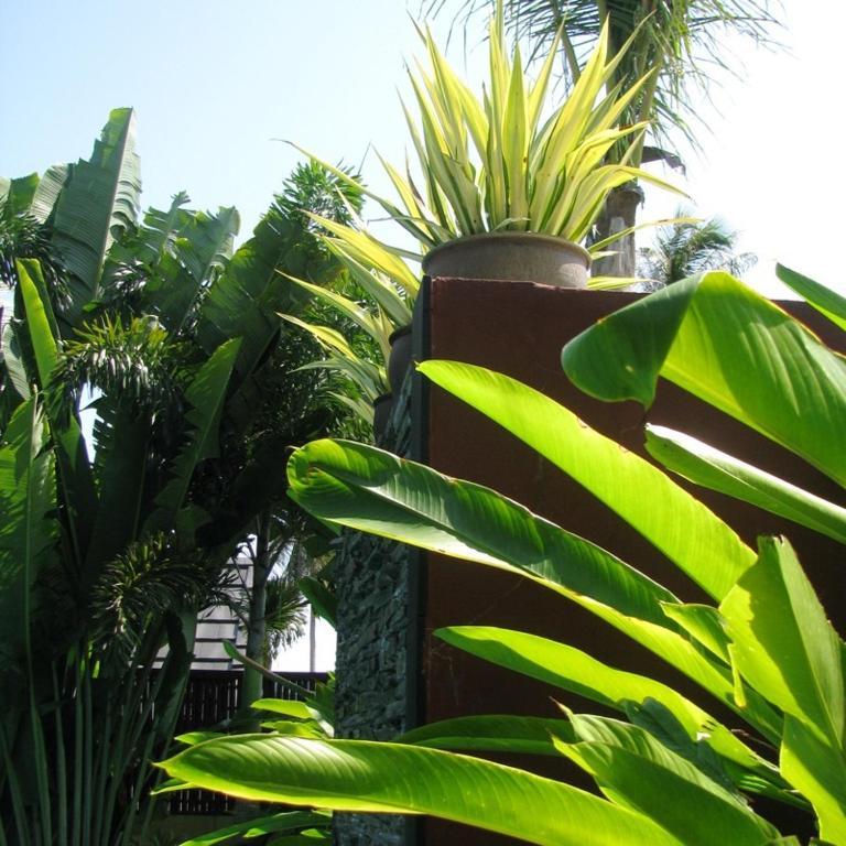 Baan Luxor Villa *