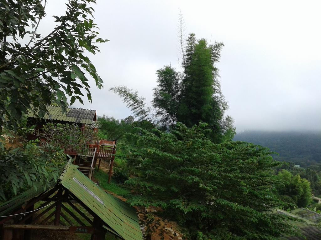 Resort Forest Samoeng