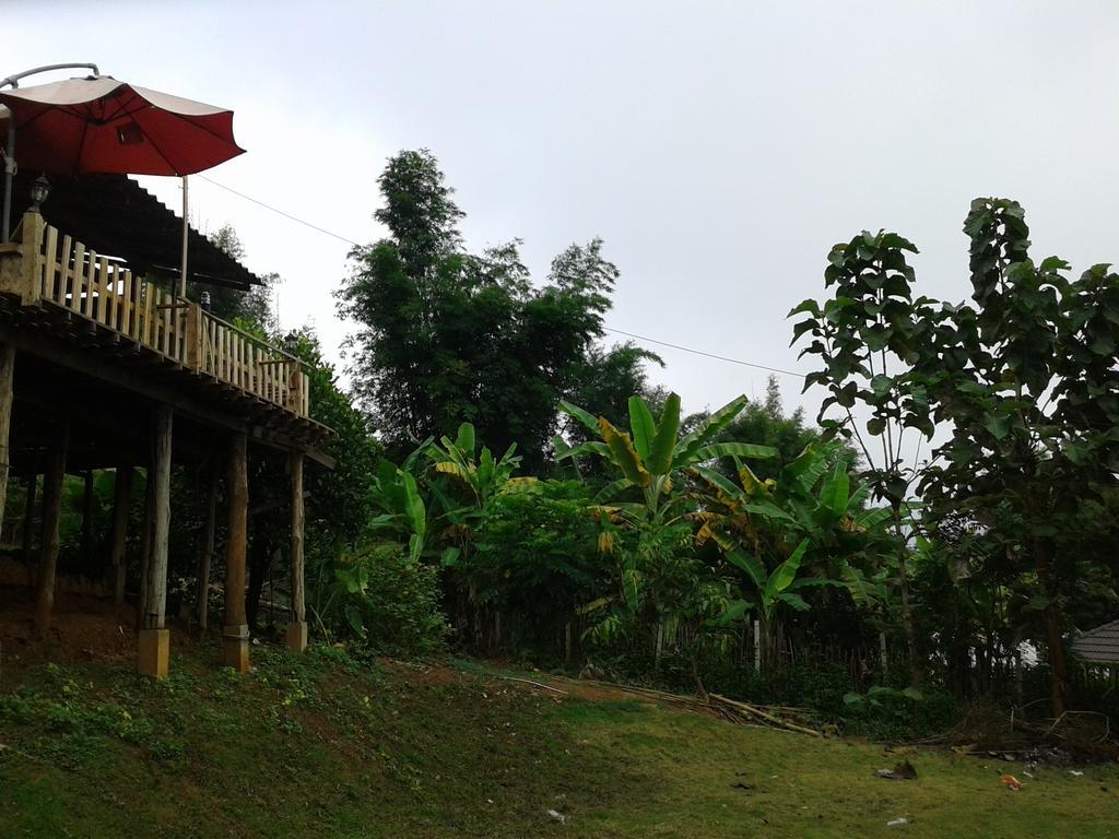 Forest Resort 2*