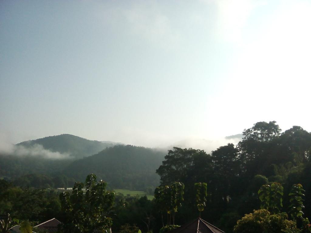 Forest Samoeng