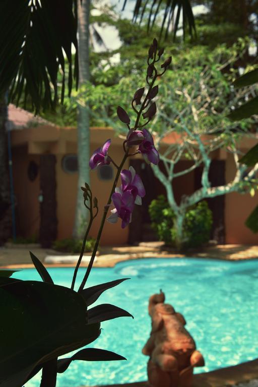 Resort Polina Park 3*