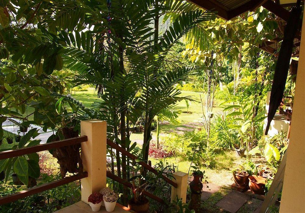 Manita 2* Lamai Beach (Koh Samui)