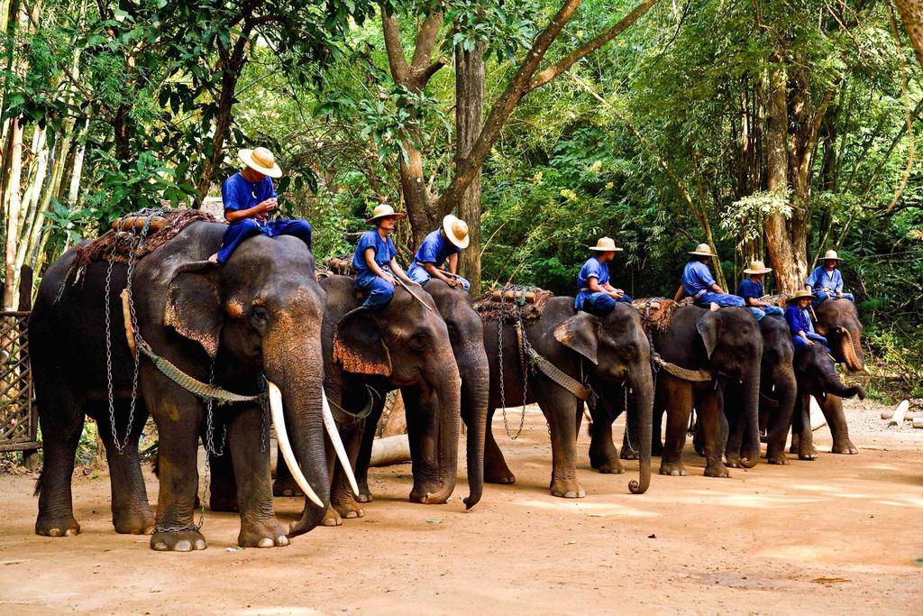 Getaway & Hotel Chiang Mai