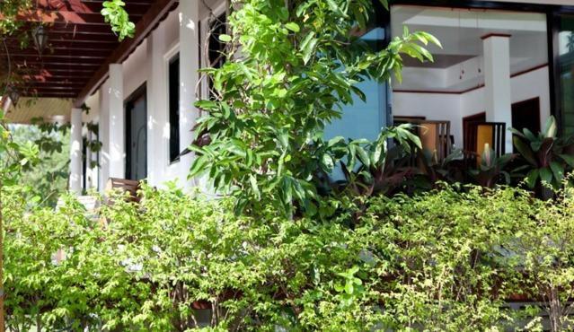 Mountain Breeze Villa