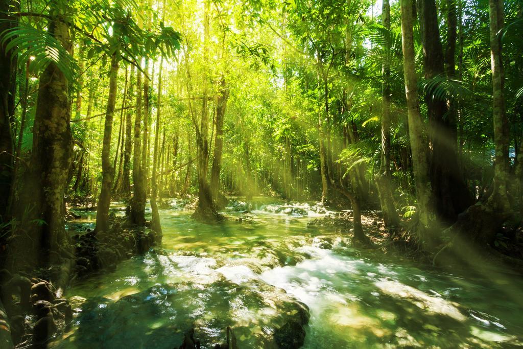 Eden Krabi Villa Ban Khao Thong