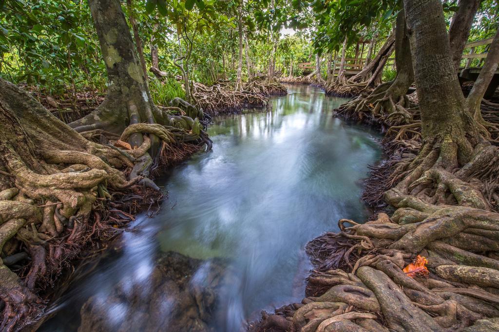 Eden Krabi *