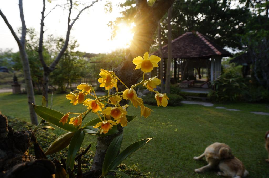 Bannamhoo Campo de férias Pai