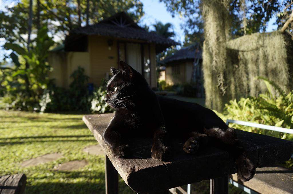 Bannamhoo Campo de férias