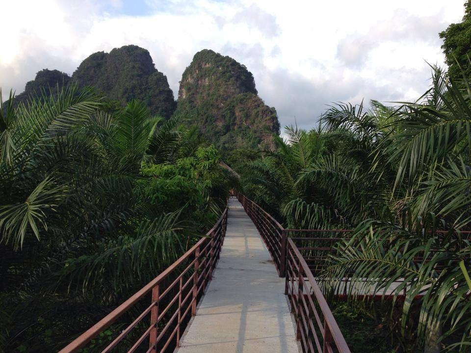 Khaosok Good View - Sha Khao Sok National Park