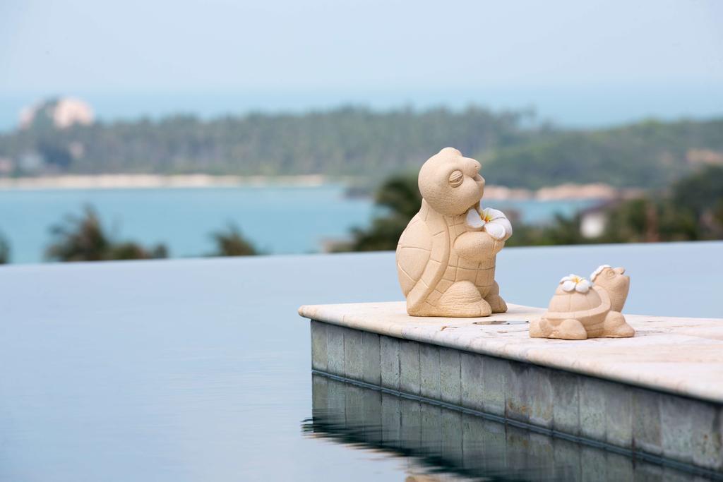 Villa Haiyi With Infinity Pool Choeng Mon
