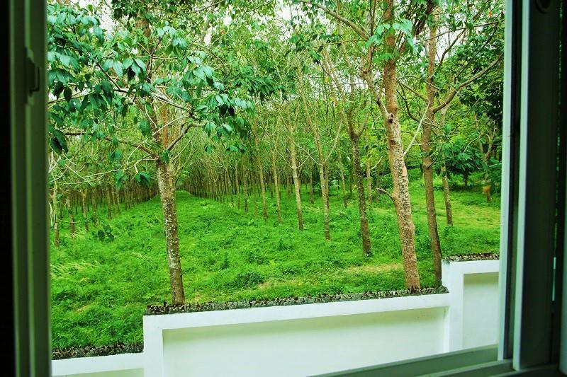 Villa Tropic Sun - Phuket *