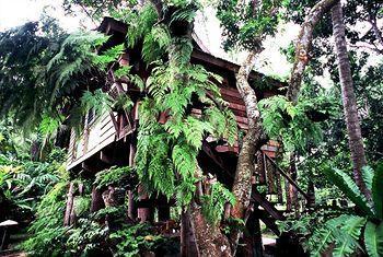 Fern Paradise Chiang Mai