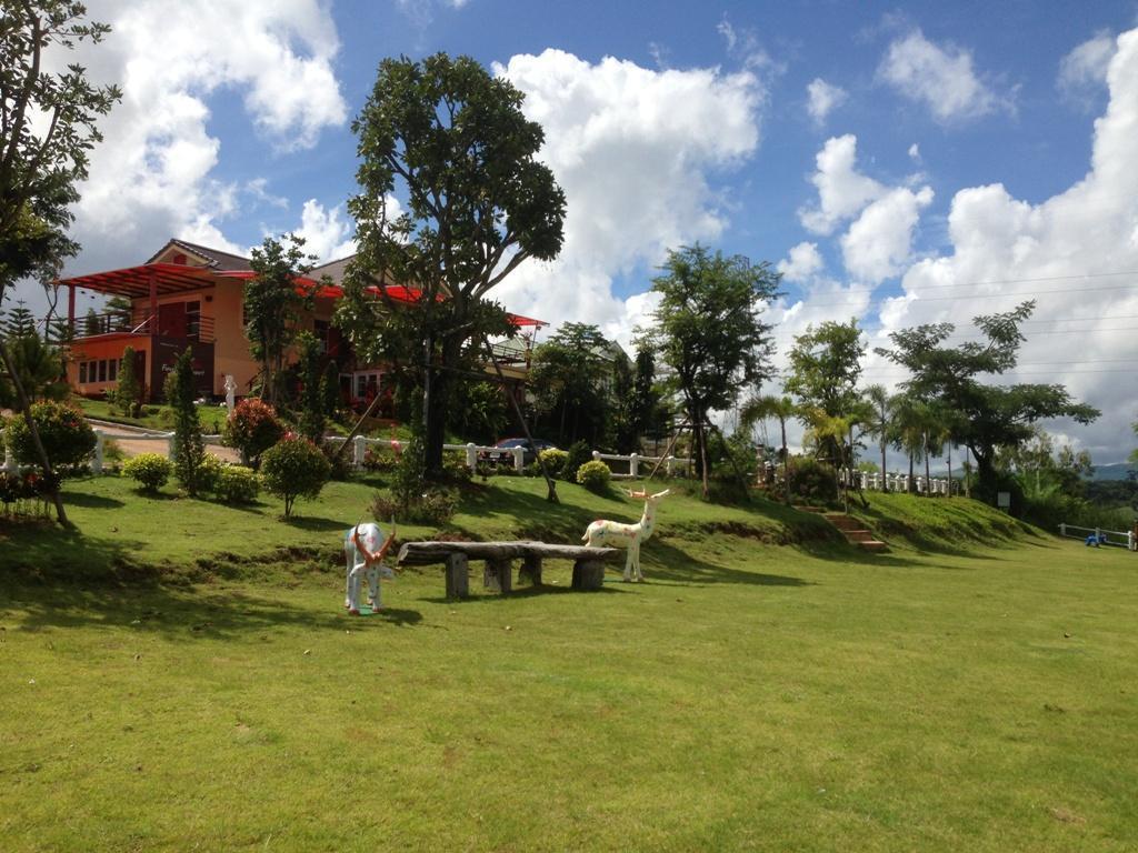 Foresta Hill
