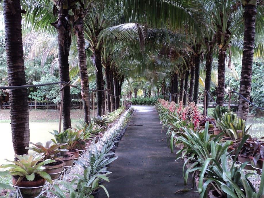 Resort Rai Sai Luang