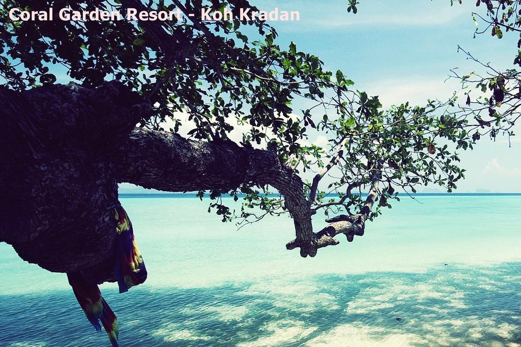 Resort Coral Garden 4*