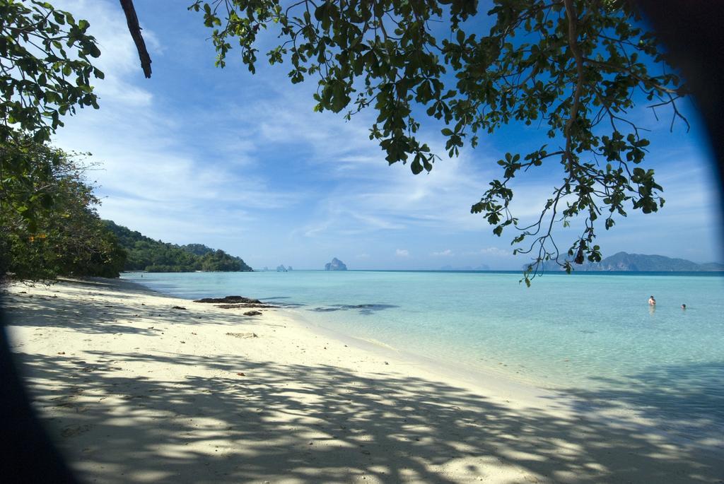 Resort Coral Garden