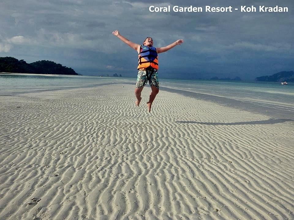 Coral Garden Koh Kradan