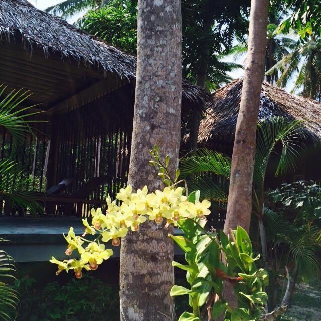 Resort Thiwson - Sha Extra