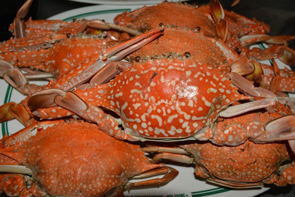Klong Prao - Sha Extra Resort