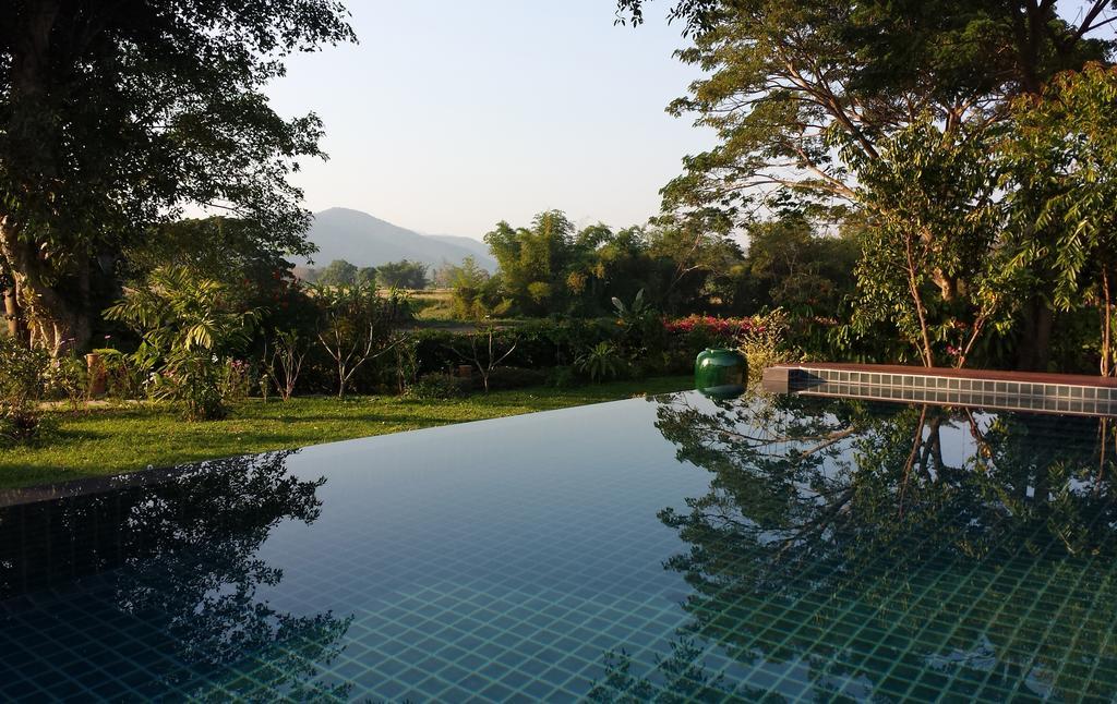 Albizia, Chiang Mai * Doi Saket