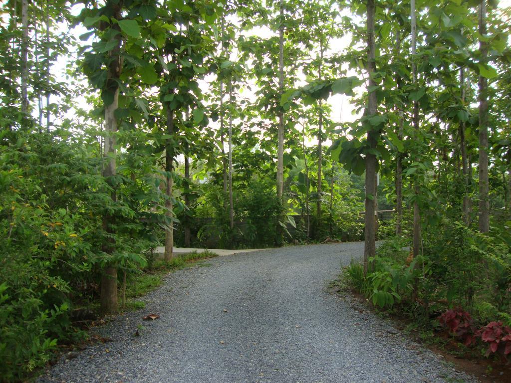 Bansuansak Resort Nan