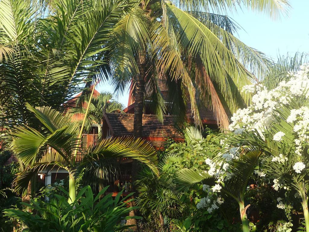 Resort Golden Teak