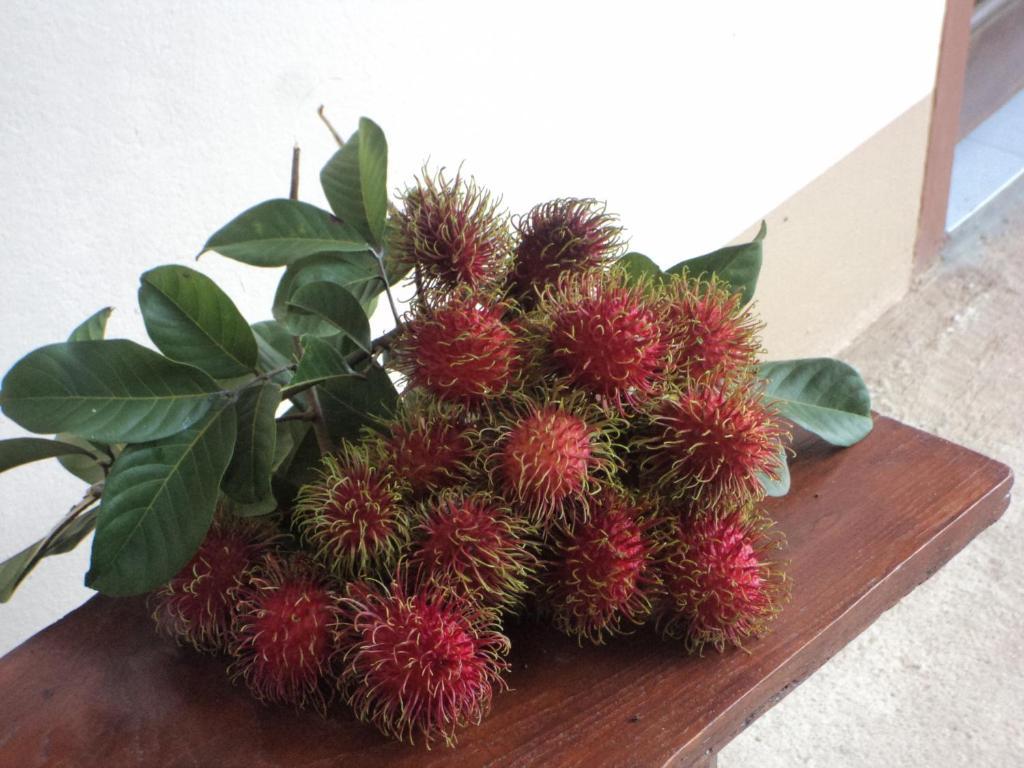Ban Suan Mai Ngam Guest house