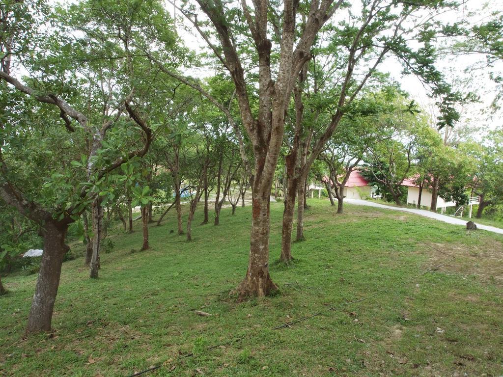 Lamai Koh Payam Lodge *