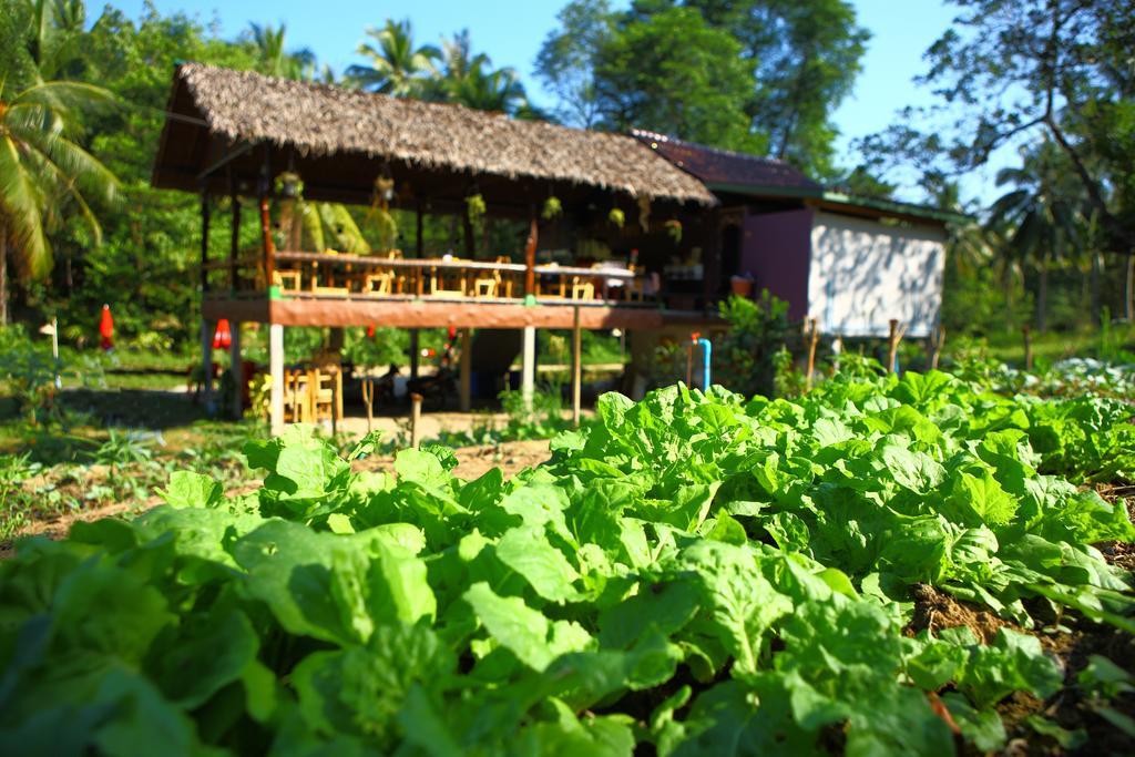 Phayam Garden View