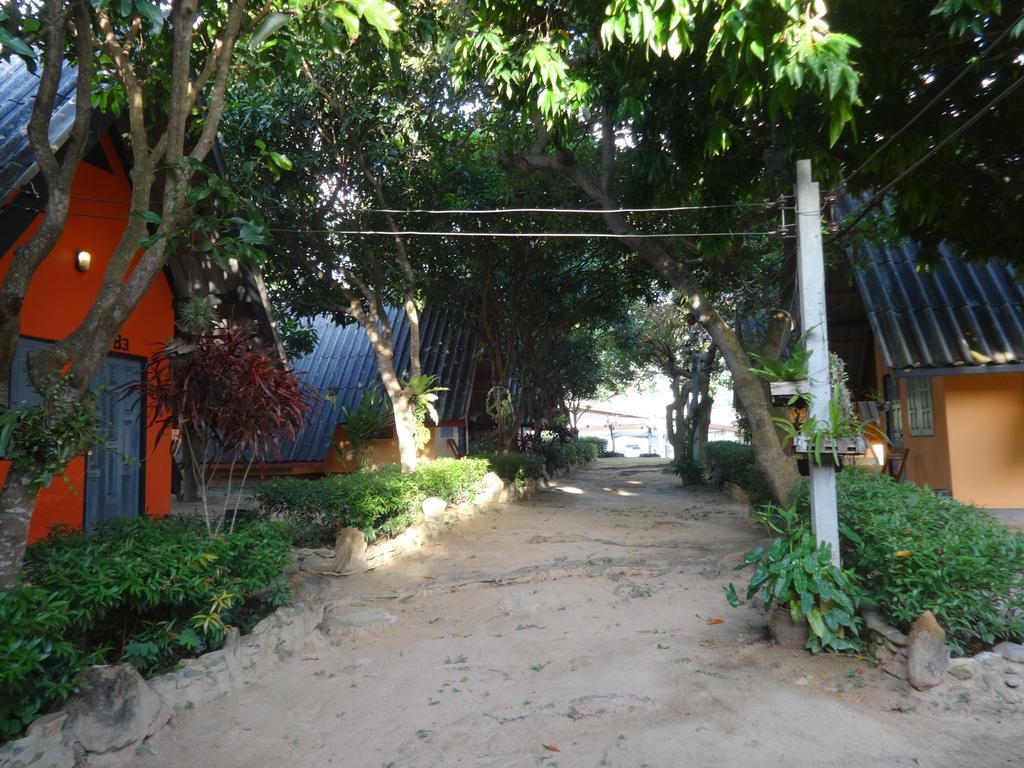 Cashewnut Tree