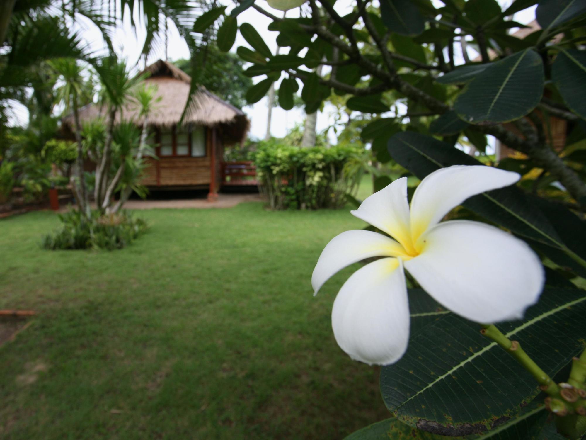 Resort Suan 3*