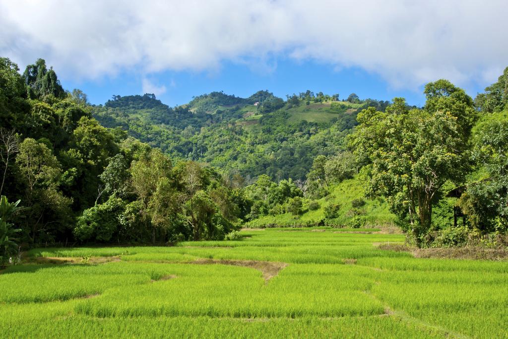 Lodge Hmong Hilltribe Mae Rim