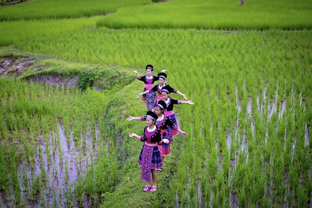 Hmong Hilltribe Mae Rim