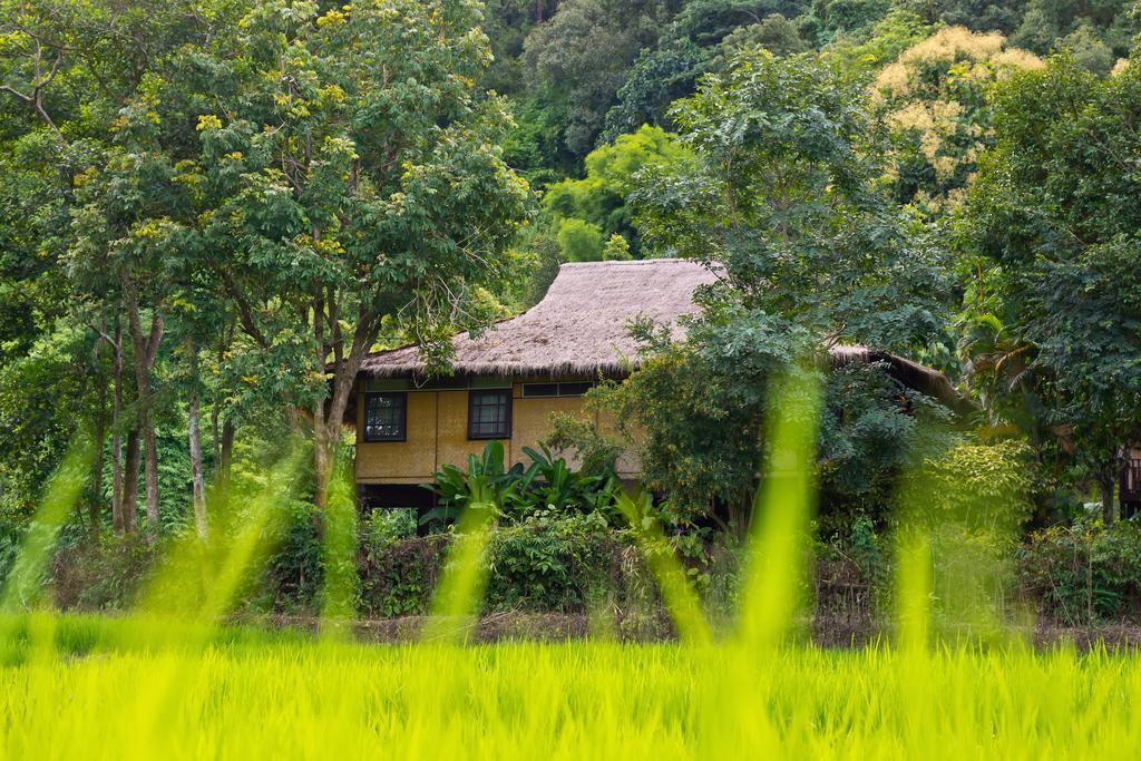 Lodge Hmong Hilltribe Mae Rim